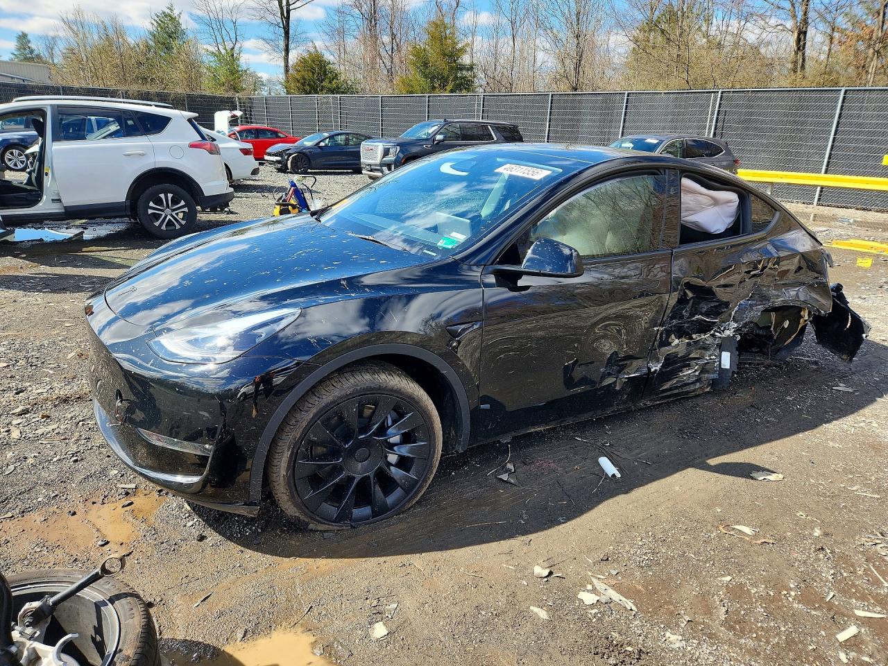 Salvage Tesla Model Y Image