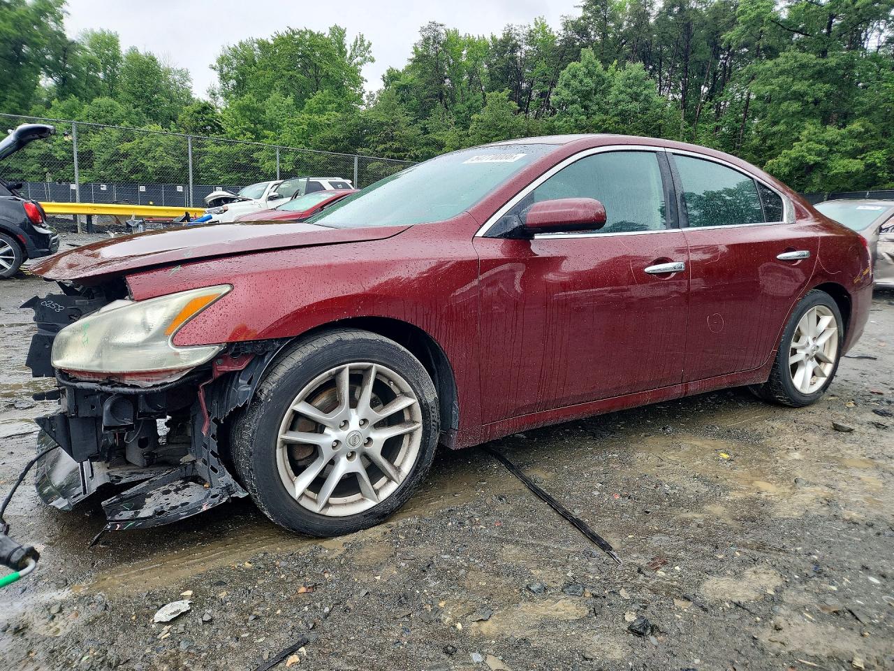 Salvage Nissan Maxima Image