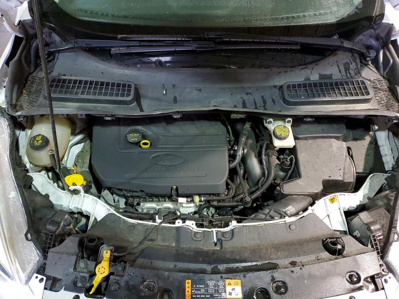 Ford Escape Sel