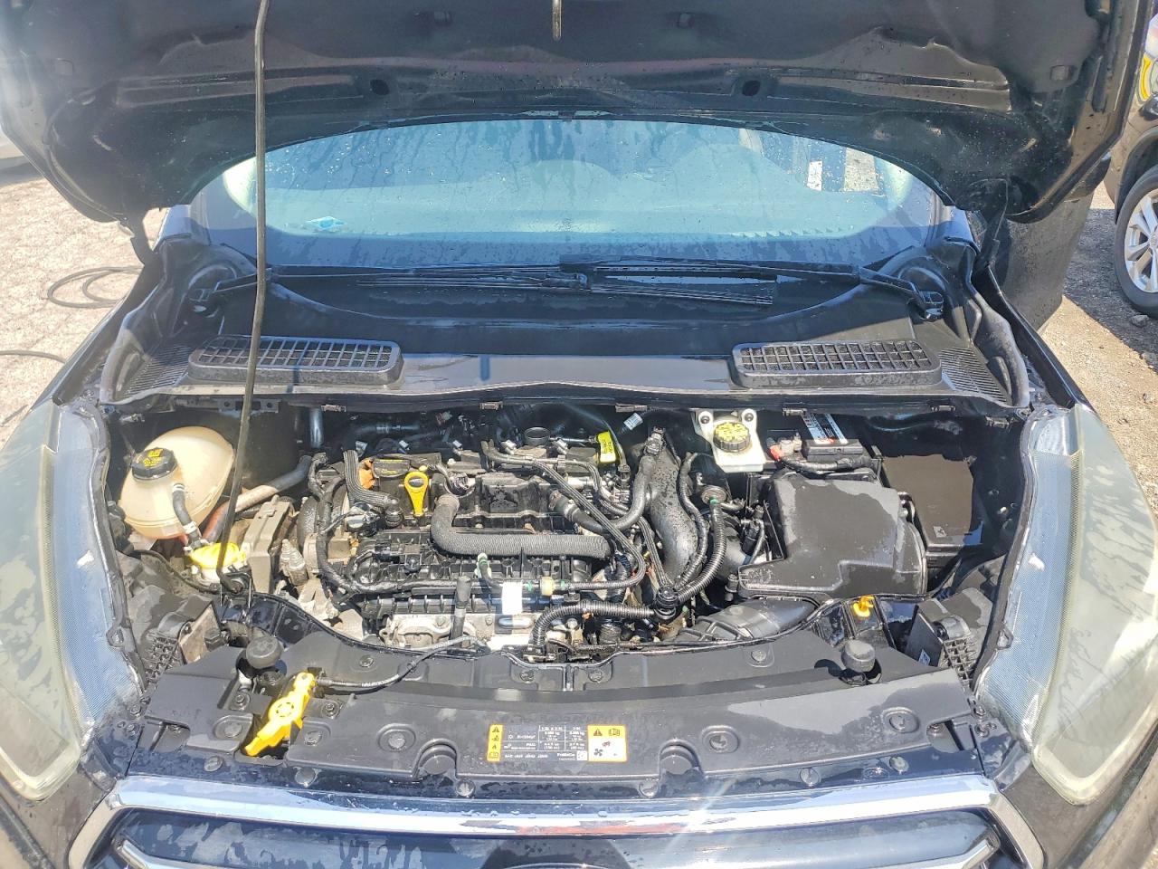 Ford Escape Se