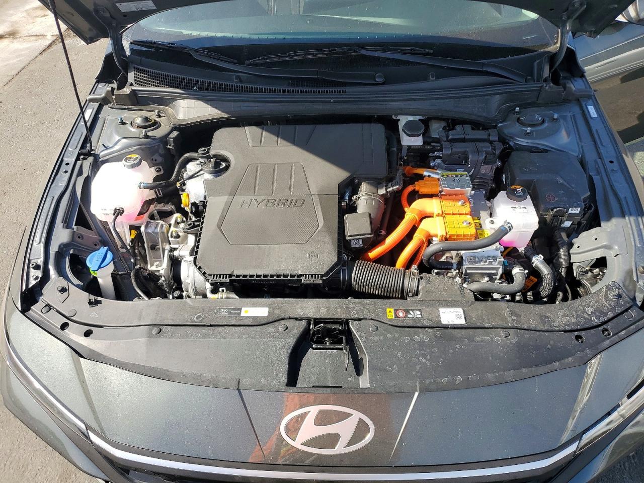 Hyundai ELANTRA Blue