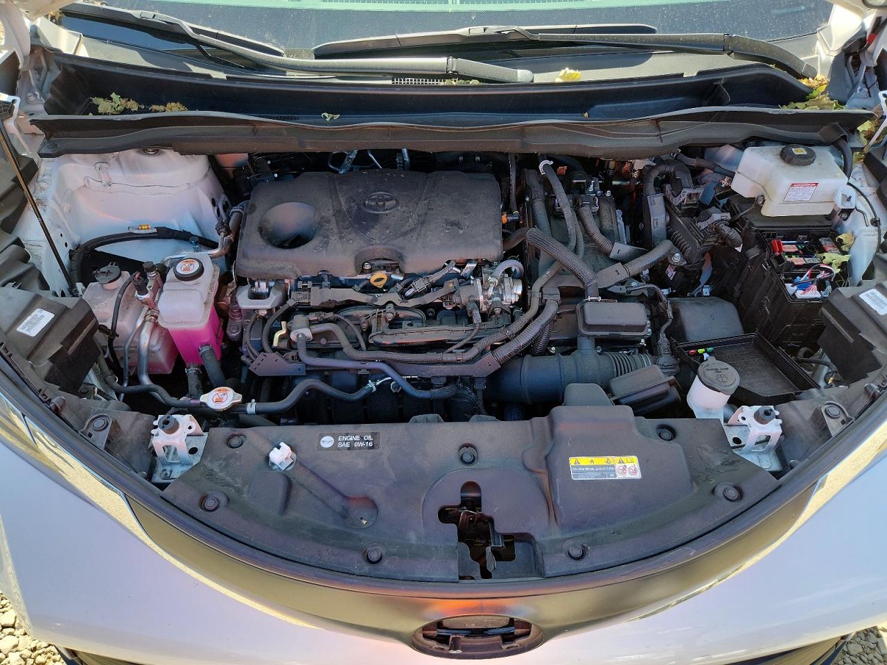 Toyota Sienna Xle 7-passenger