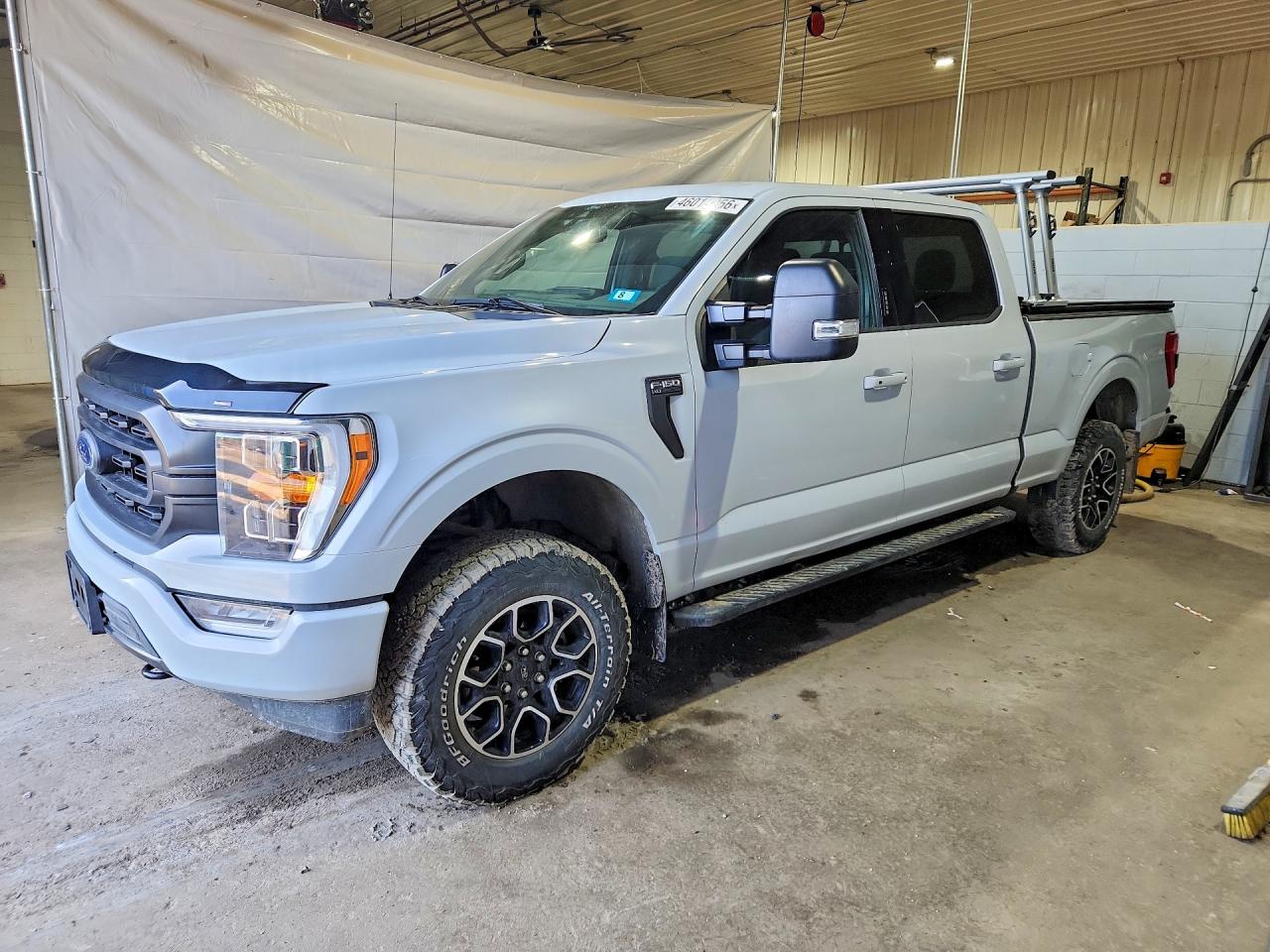 Salvage Ford F-150 Image