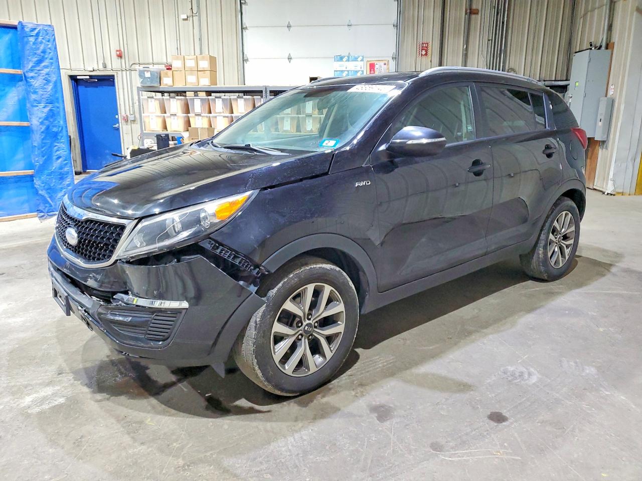 Salvage Kia Sportage Image