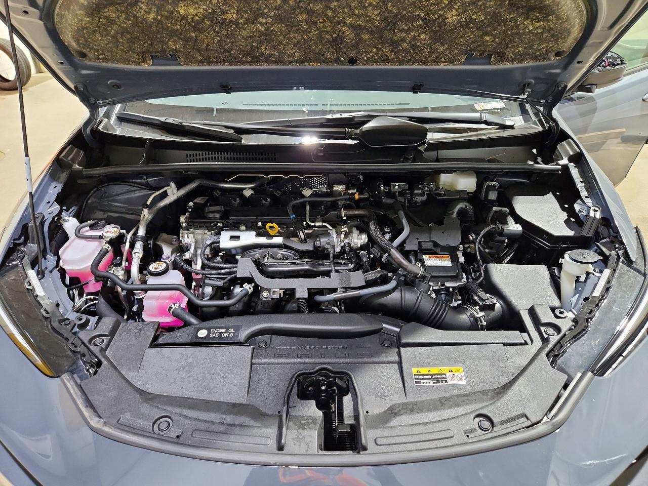 Toyota Prius Xle Xle