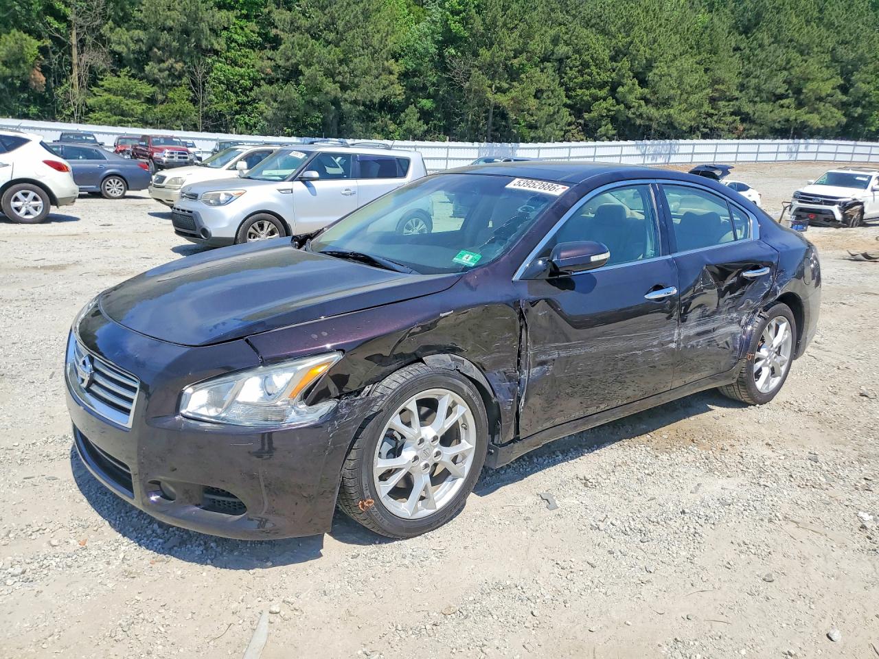 Salvage Nissan Maxima Image