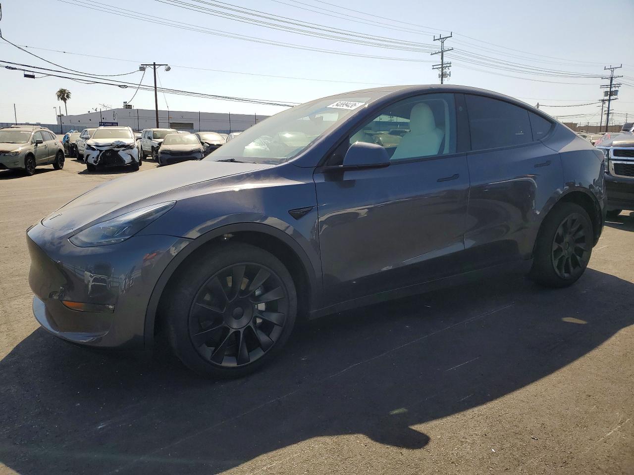 Salvage Tesla Model Y Image