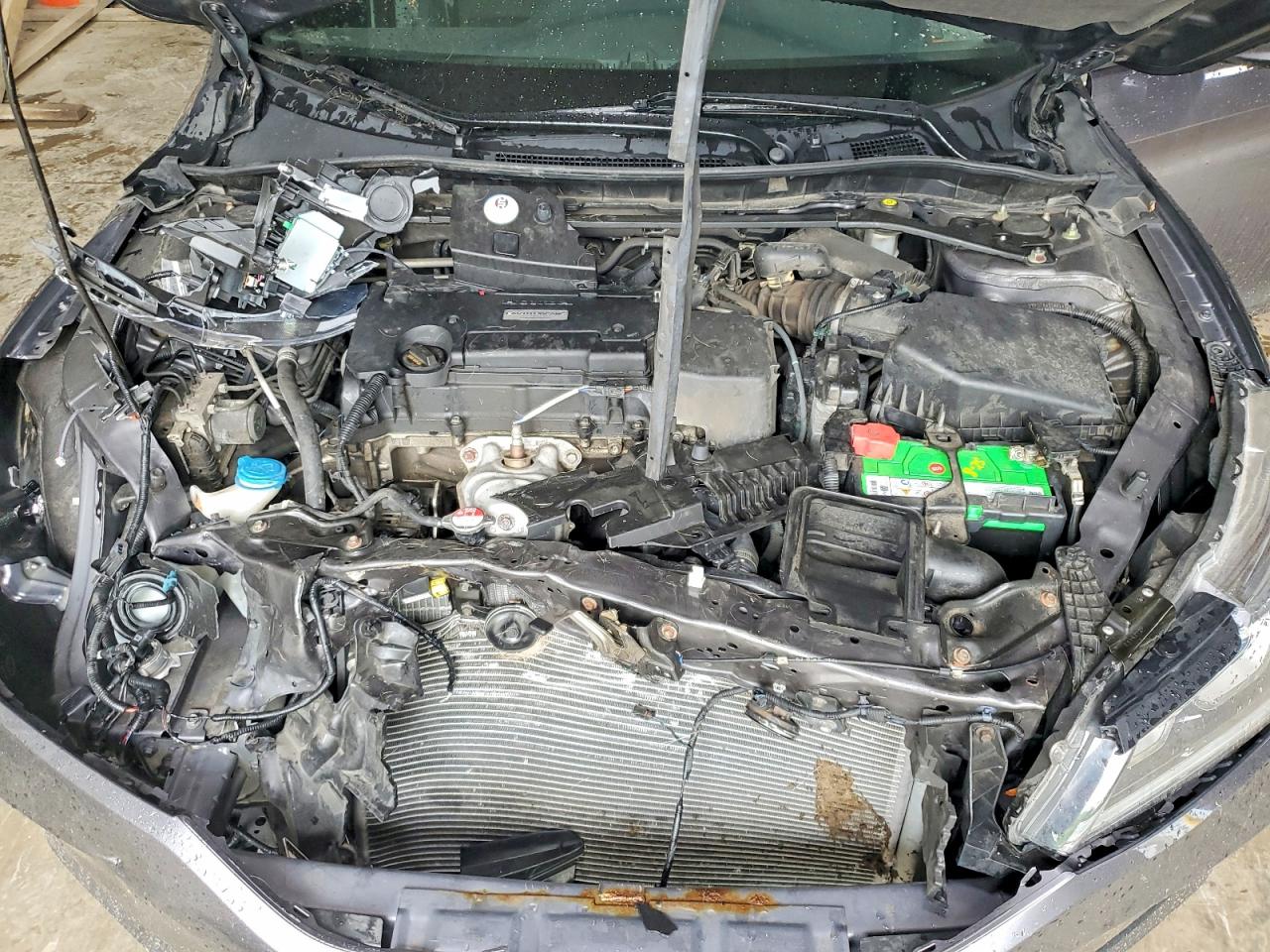 Honda Accord Sport