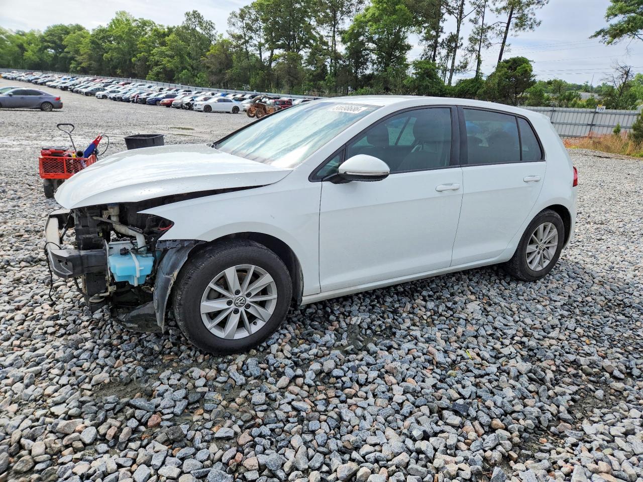 Salvage Volkswagen Golf Image