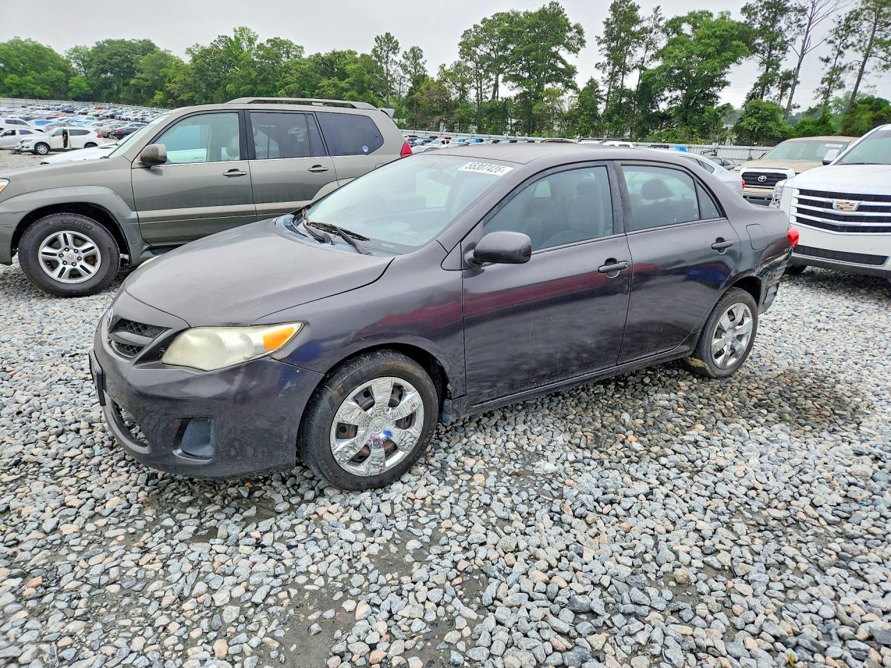 Salvage Toyota Corolla Image