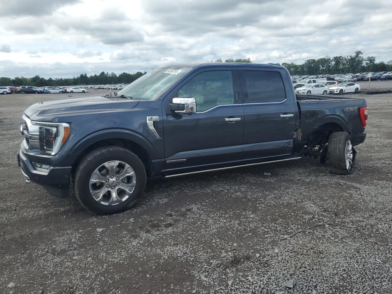 Salvage Ford F-150 Image