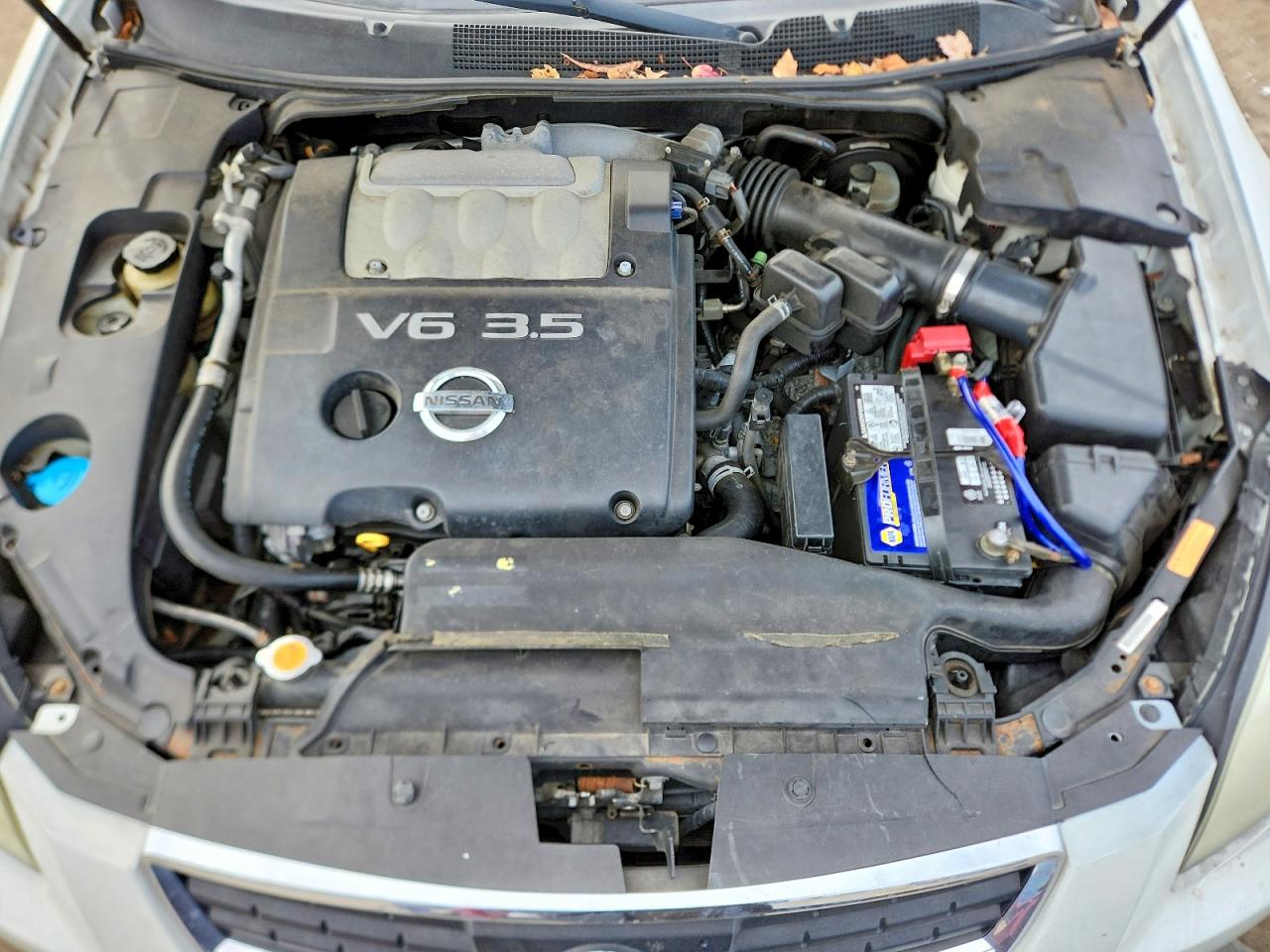 Nissan Maxima Se