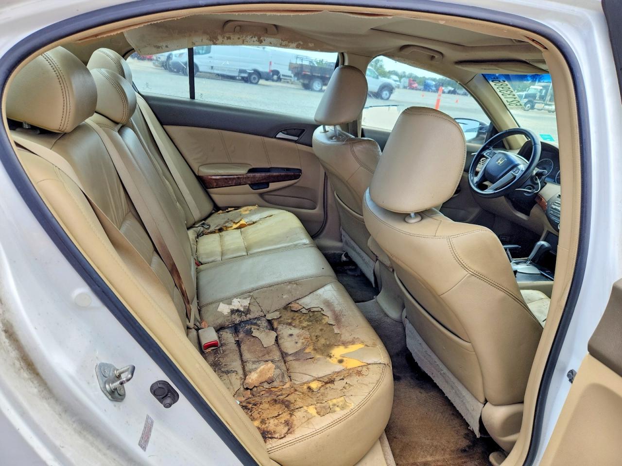 Honda Accord Exl