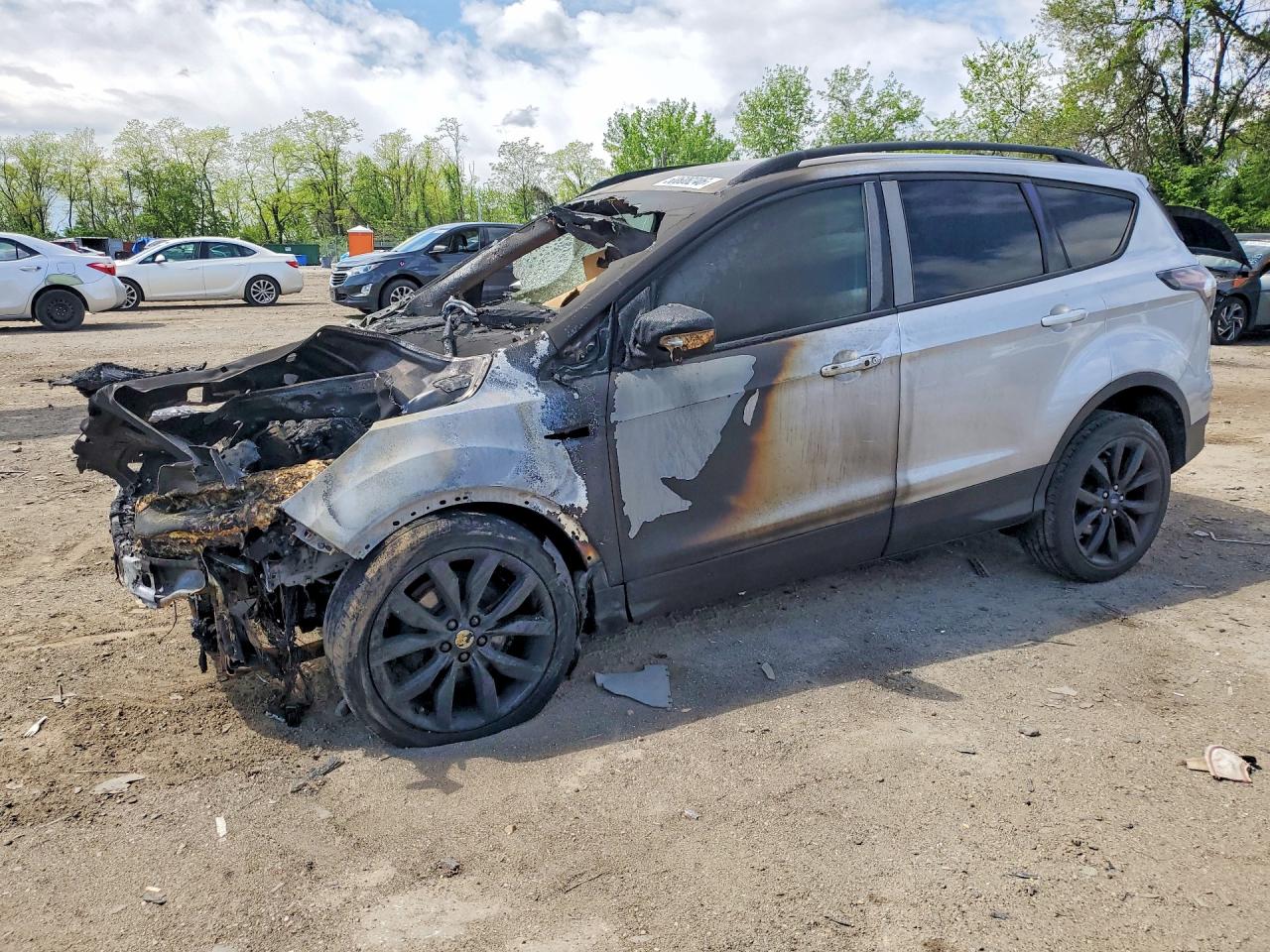 Salvage Ford Escape Image