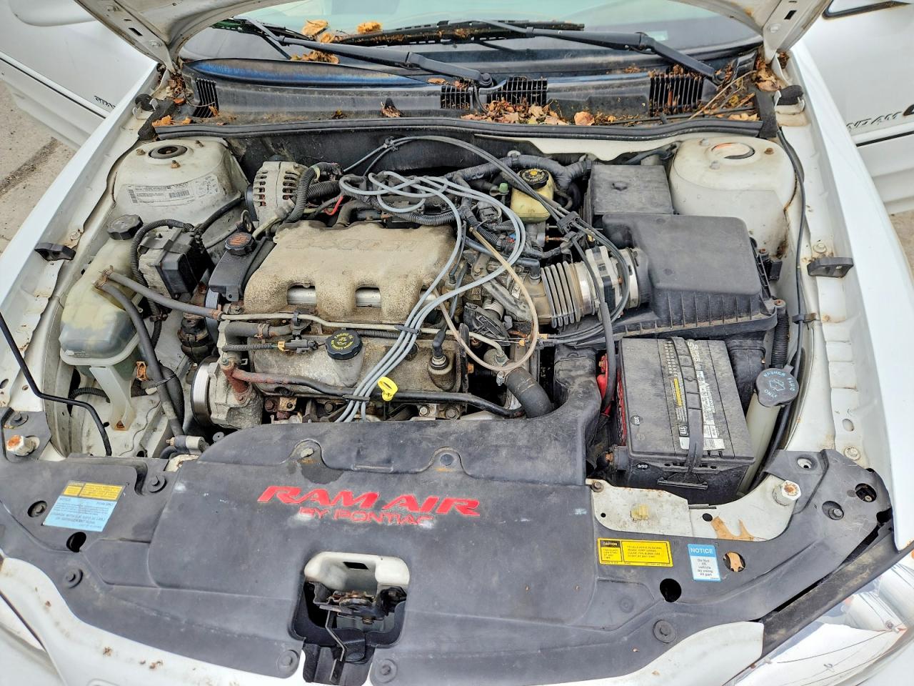 Pontiac Grandam Gt