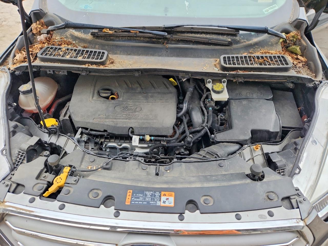 Ford Escape Se