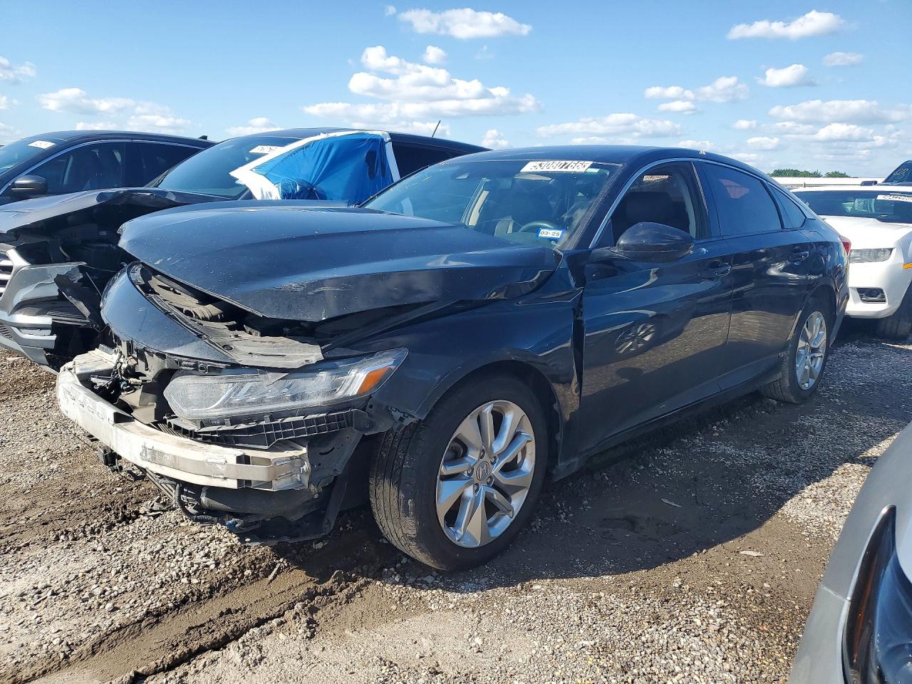 Salvage Honda Accord Image