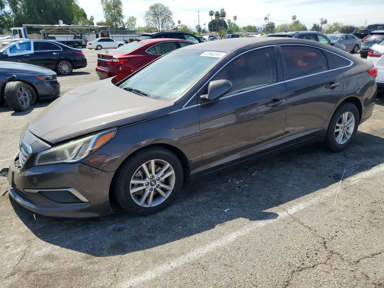 Salvage Hyundai SONATA Image