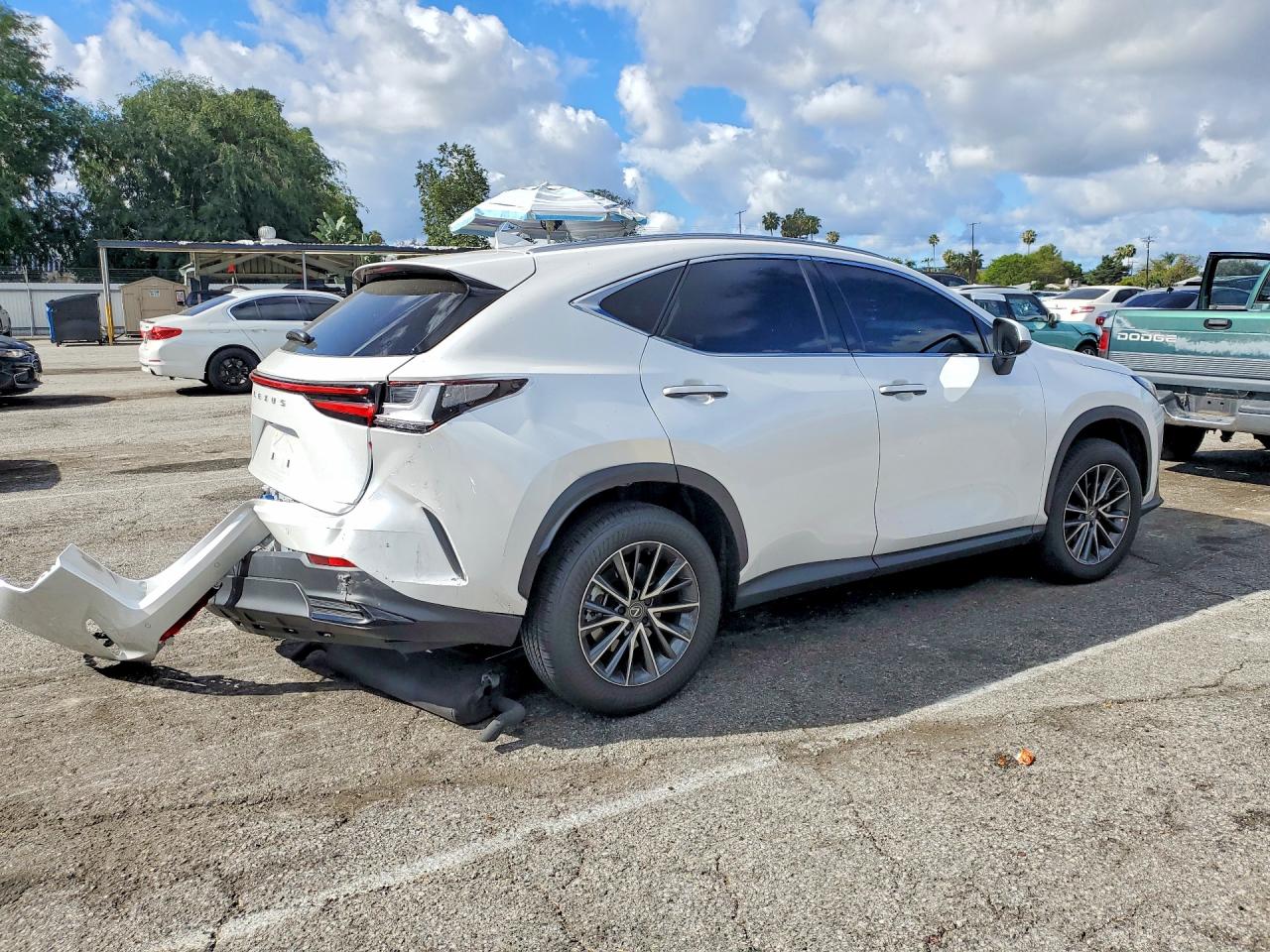 Lexus Other Premium