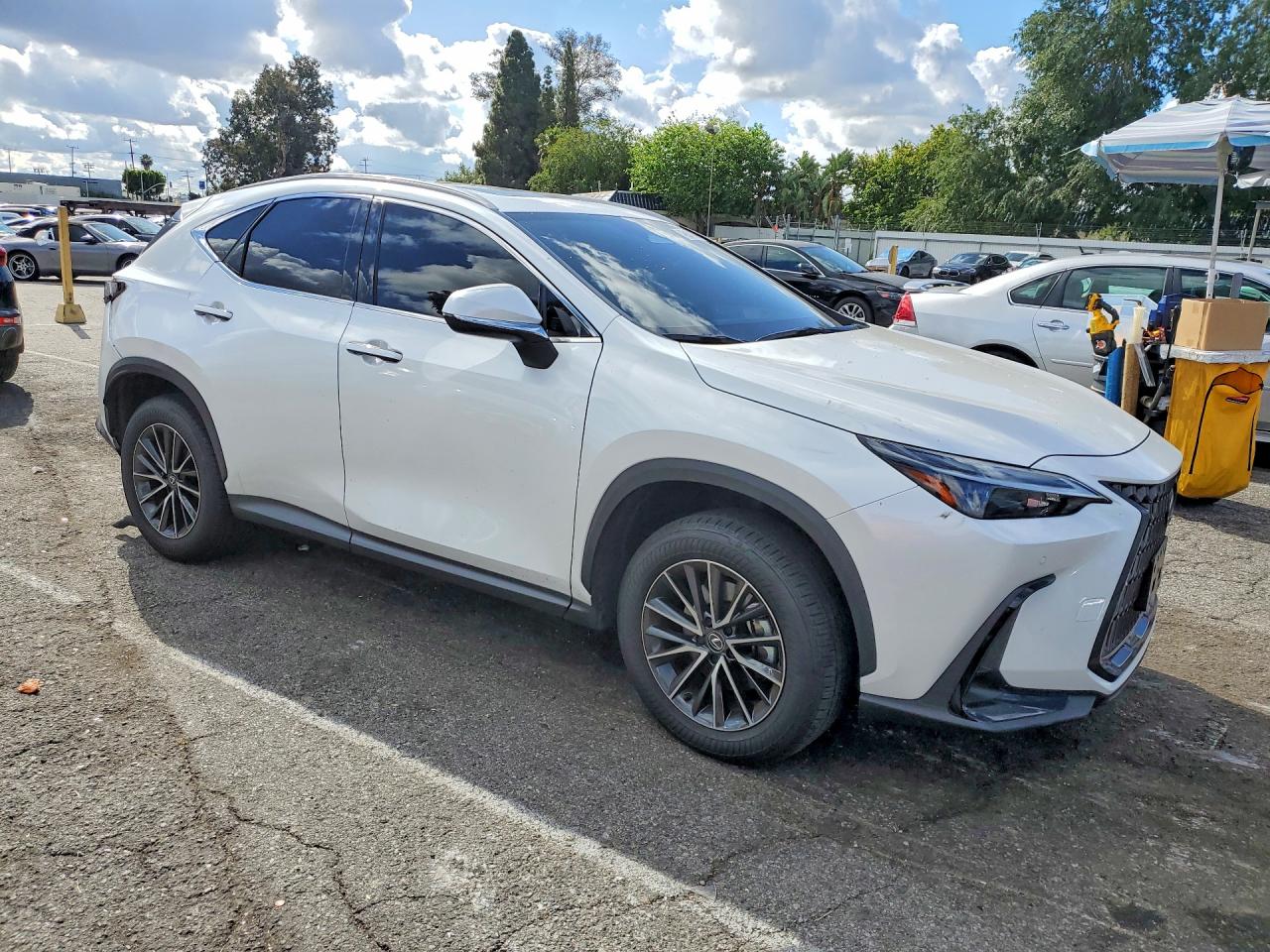 Lexus Other Premium