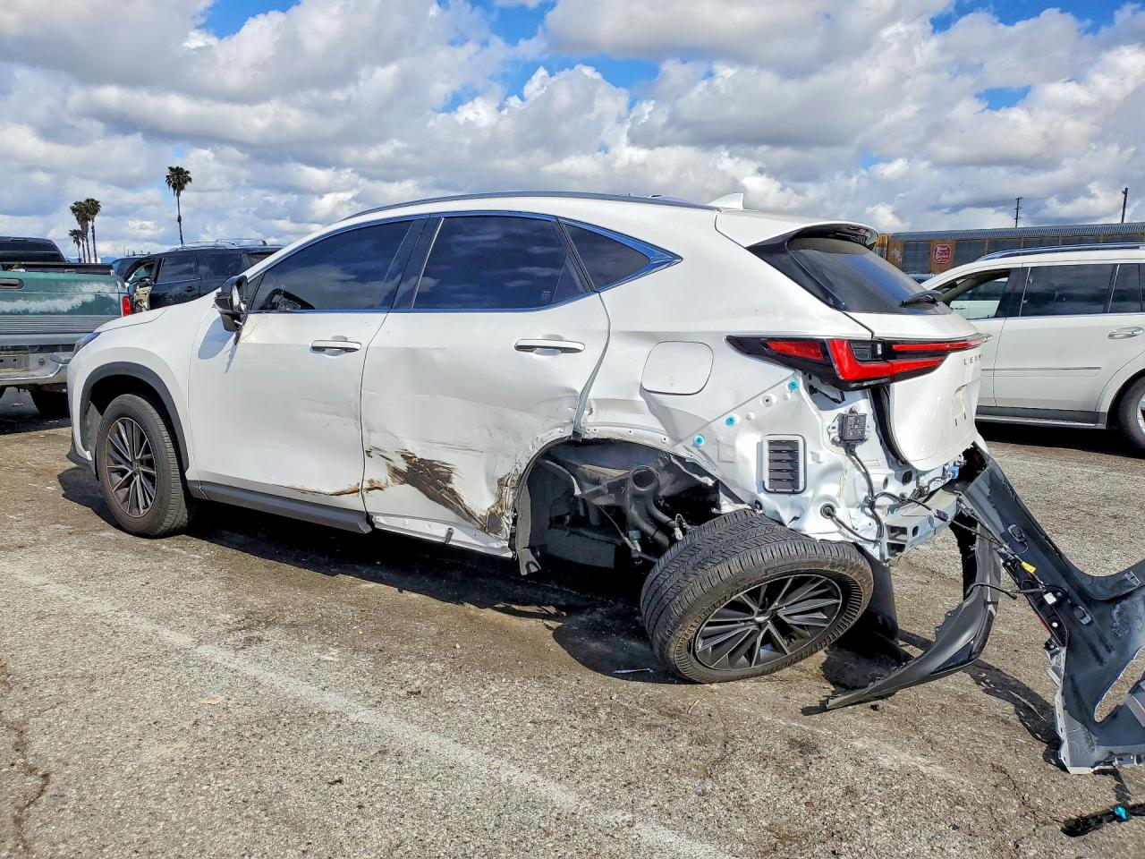 Lexus Other Premium