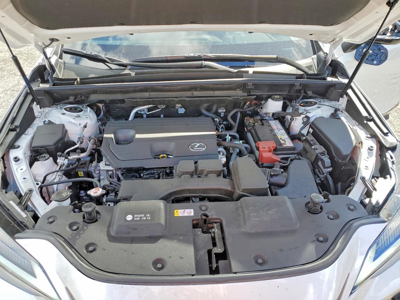 Lexus Other Premium