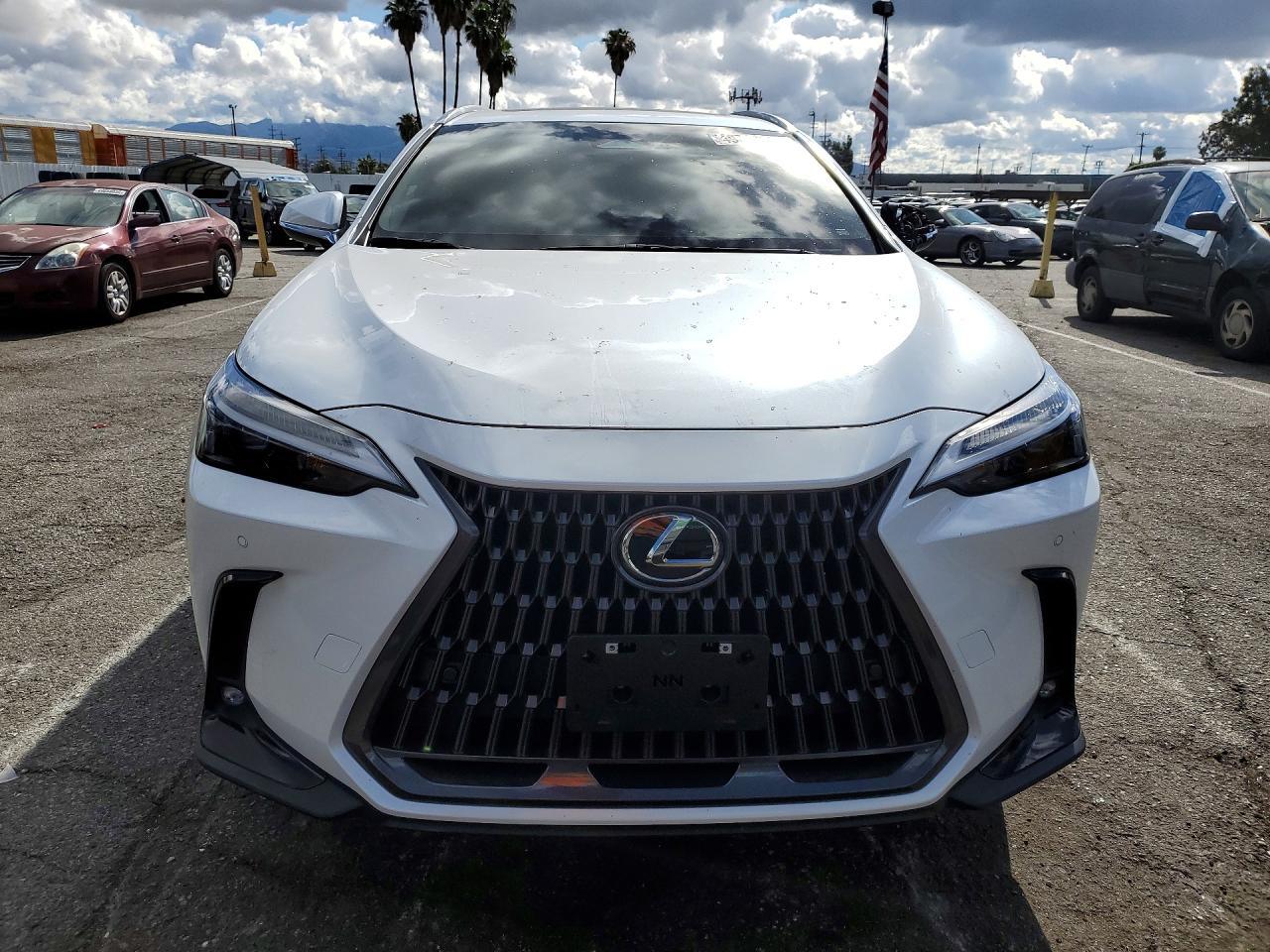Lexus Other Premium