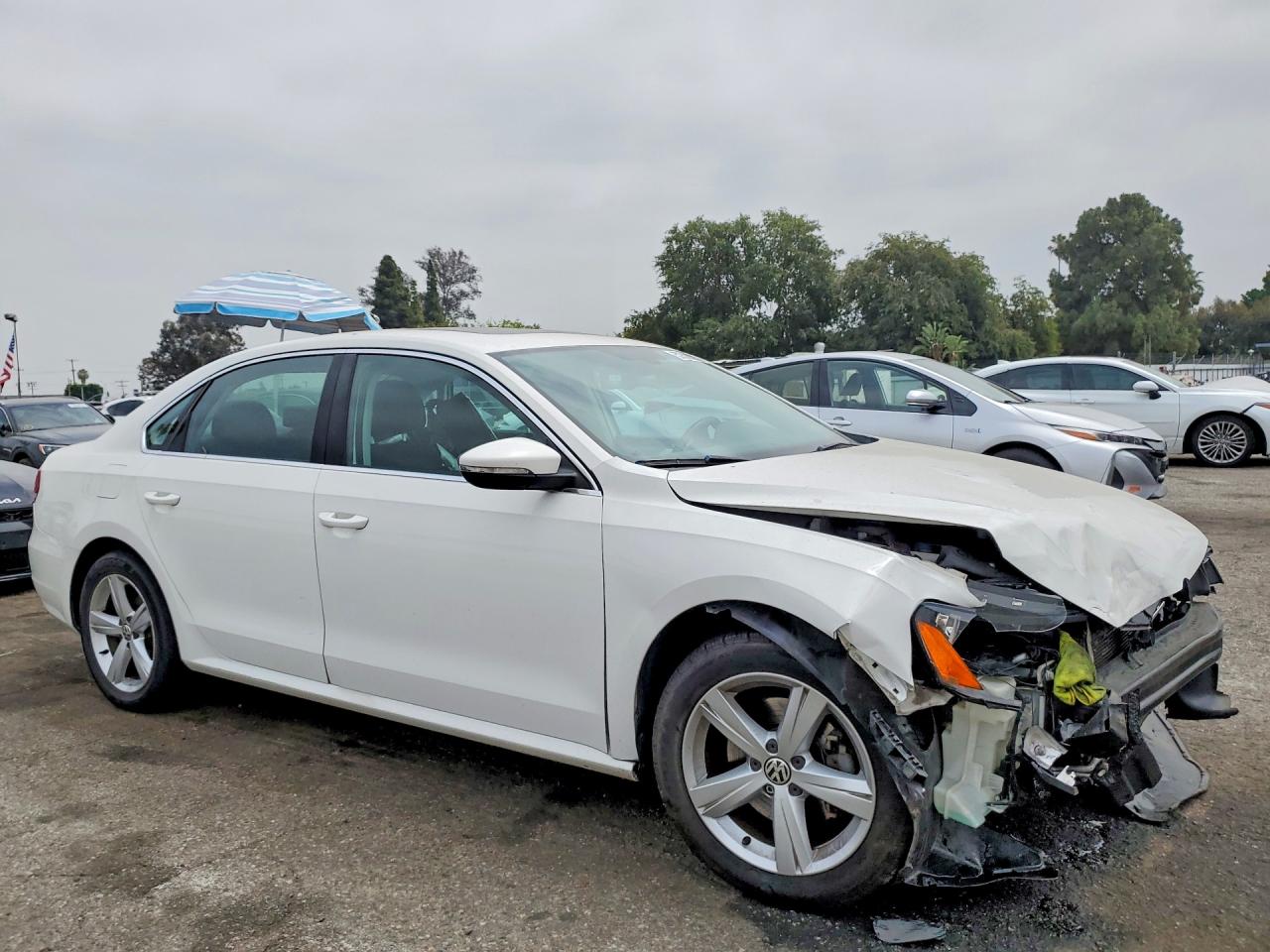 Volkswagen Passat Se