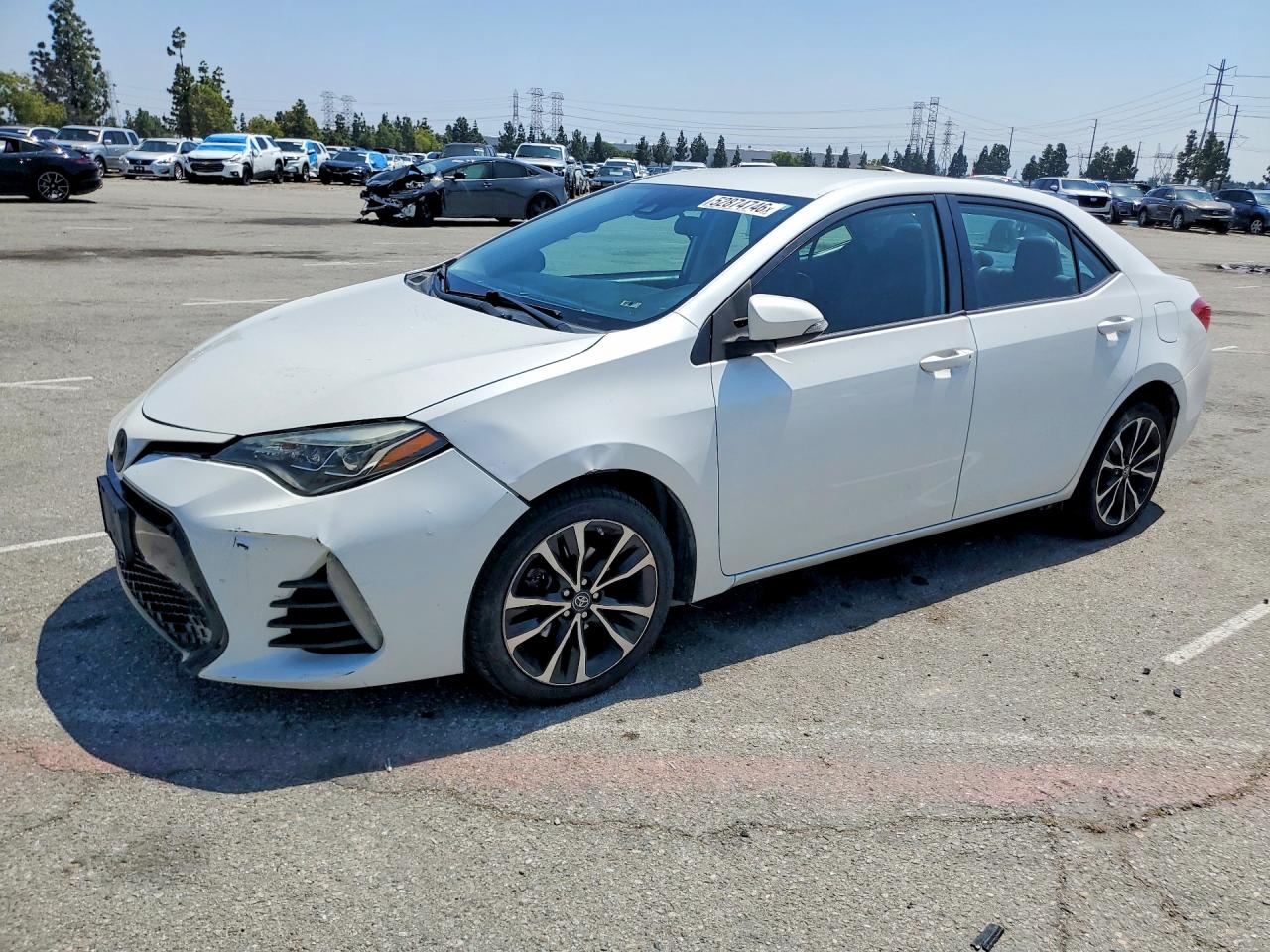 Salvage Toyota Corolla Image