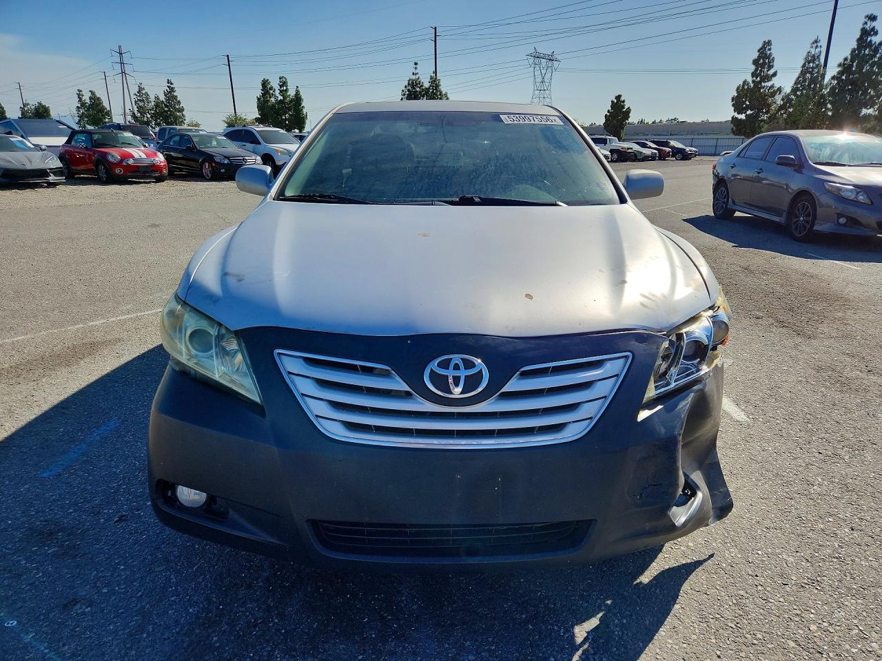 Toyota Camry Xle V6