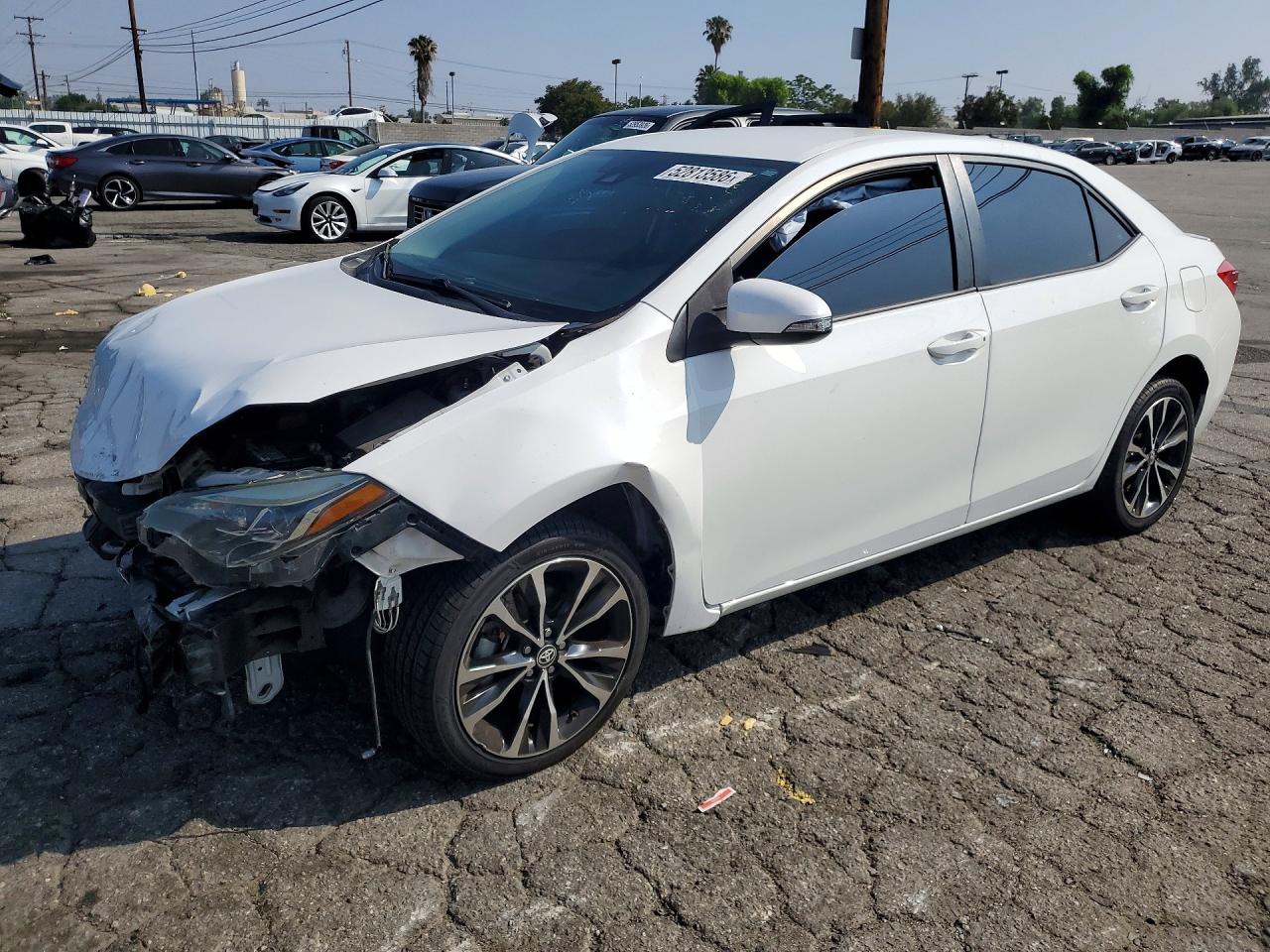 Salvage Toyota Corolla Image