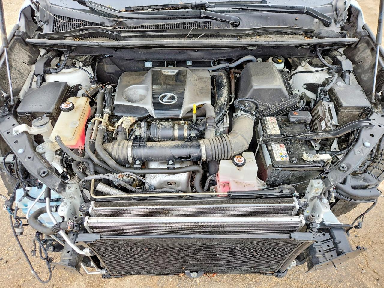 Lexus NX Base