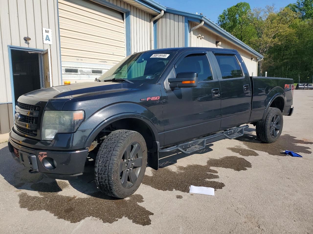 Salvage Ford F-150 Image