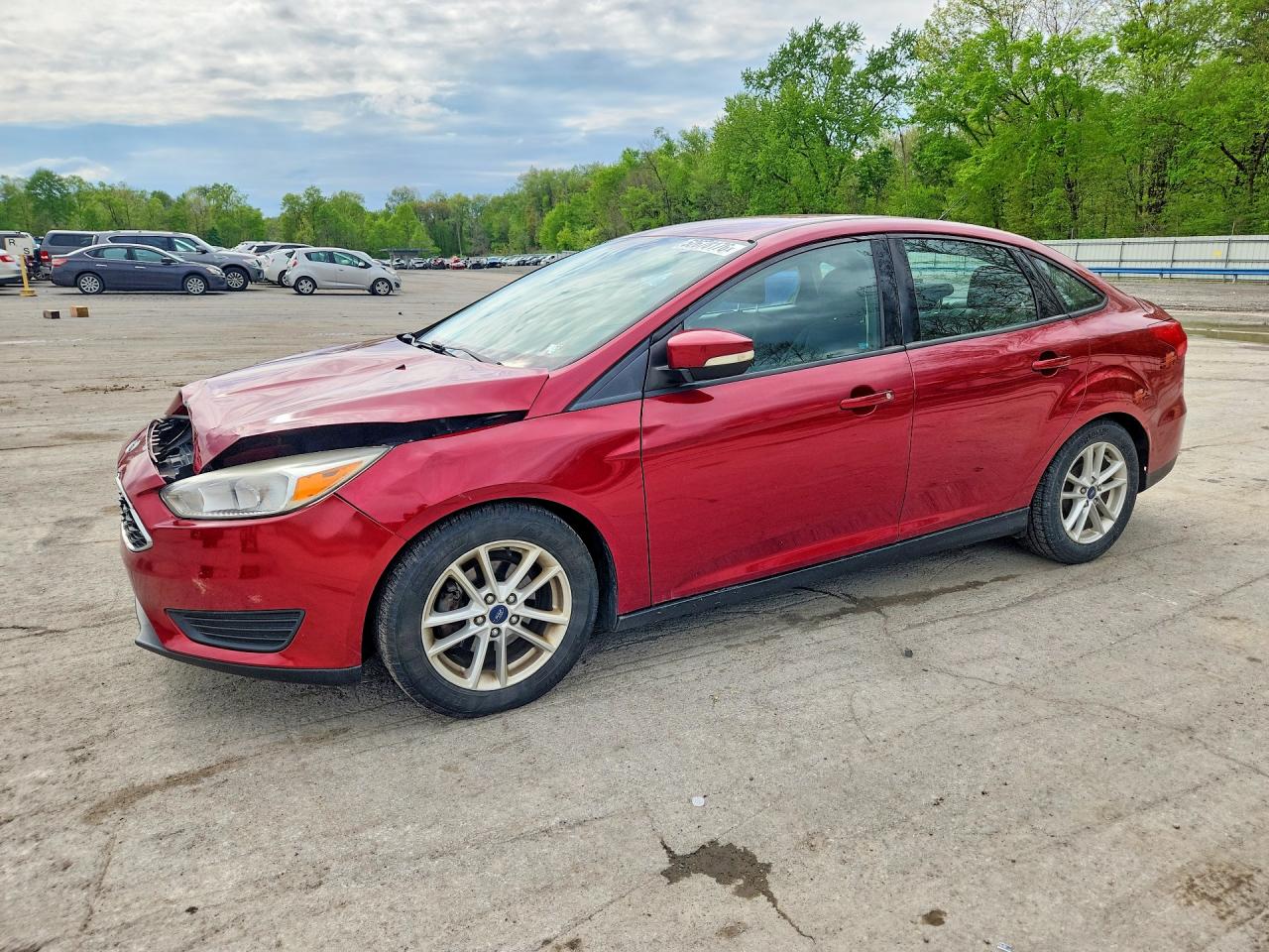 Salvage Ford Focus Image