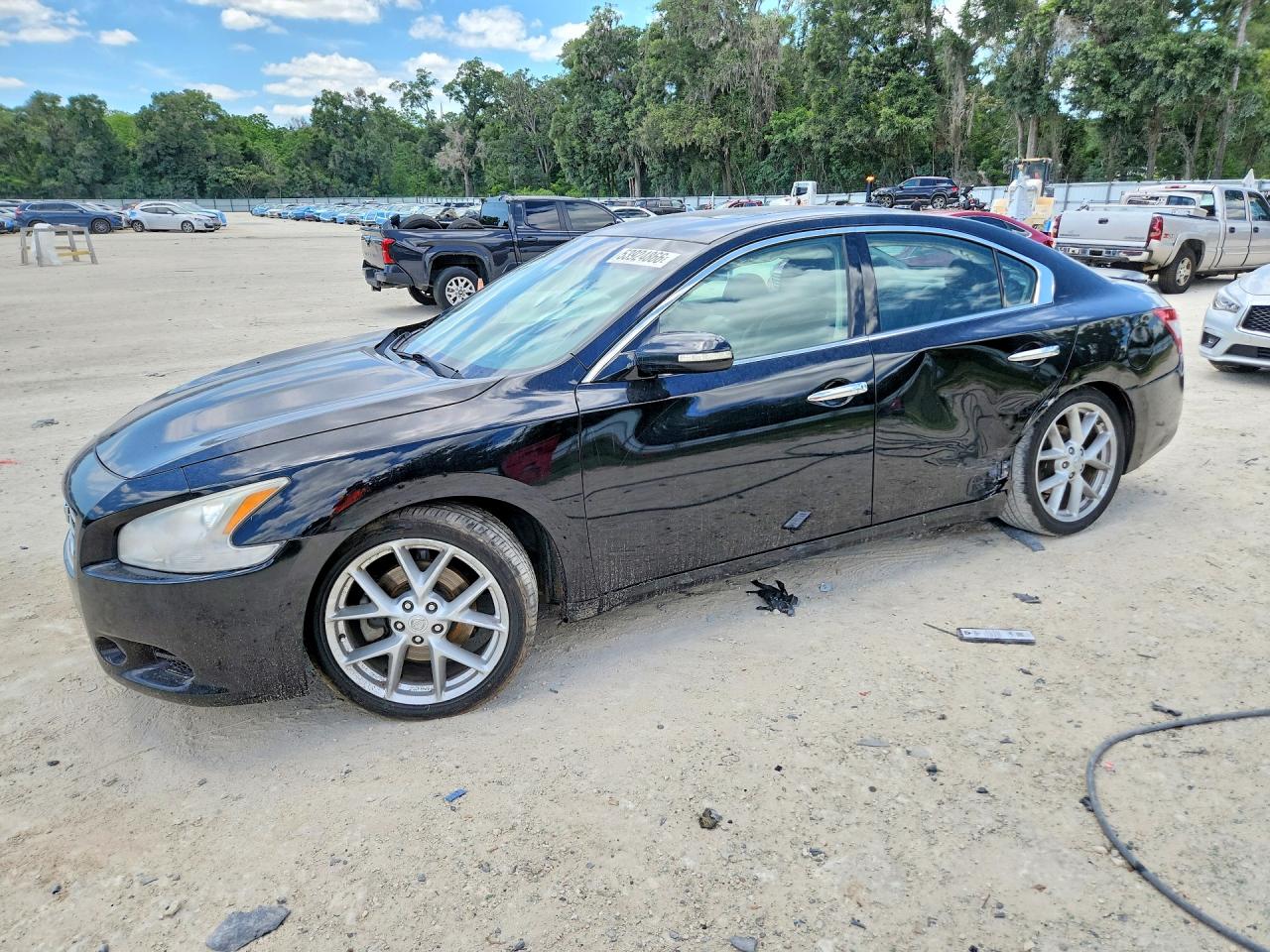Salvage Nissan Maxima Image