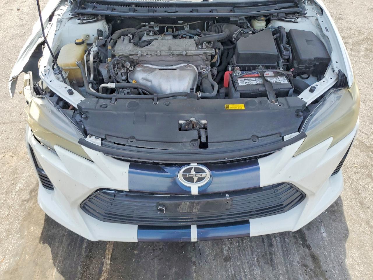 Scion TC Base