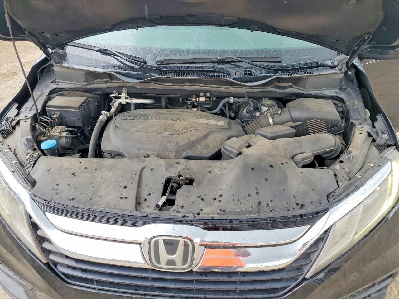 Honda Odyssey Exl
