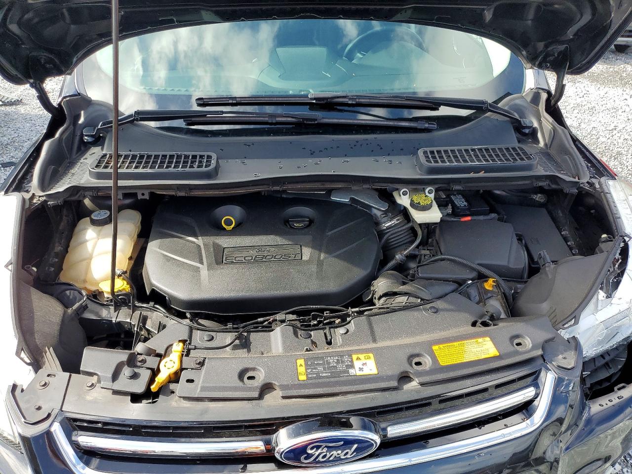 Ford Escape Sel