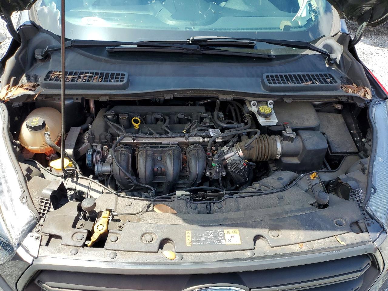 Ford Escape S
