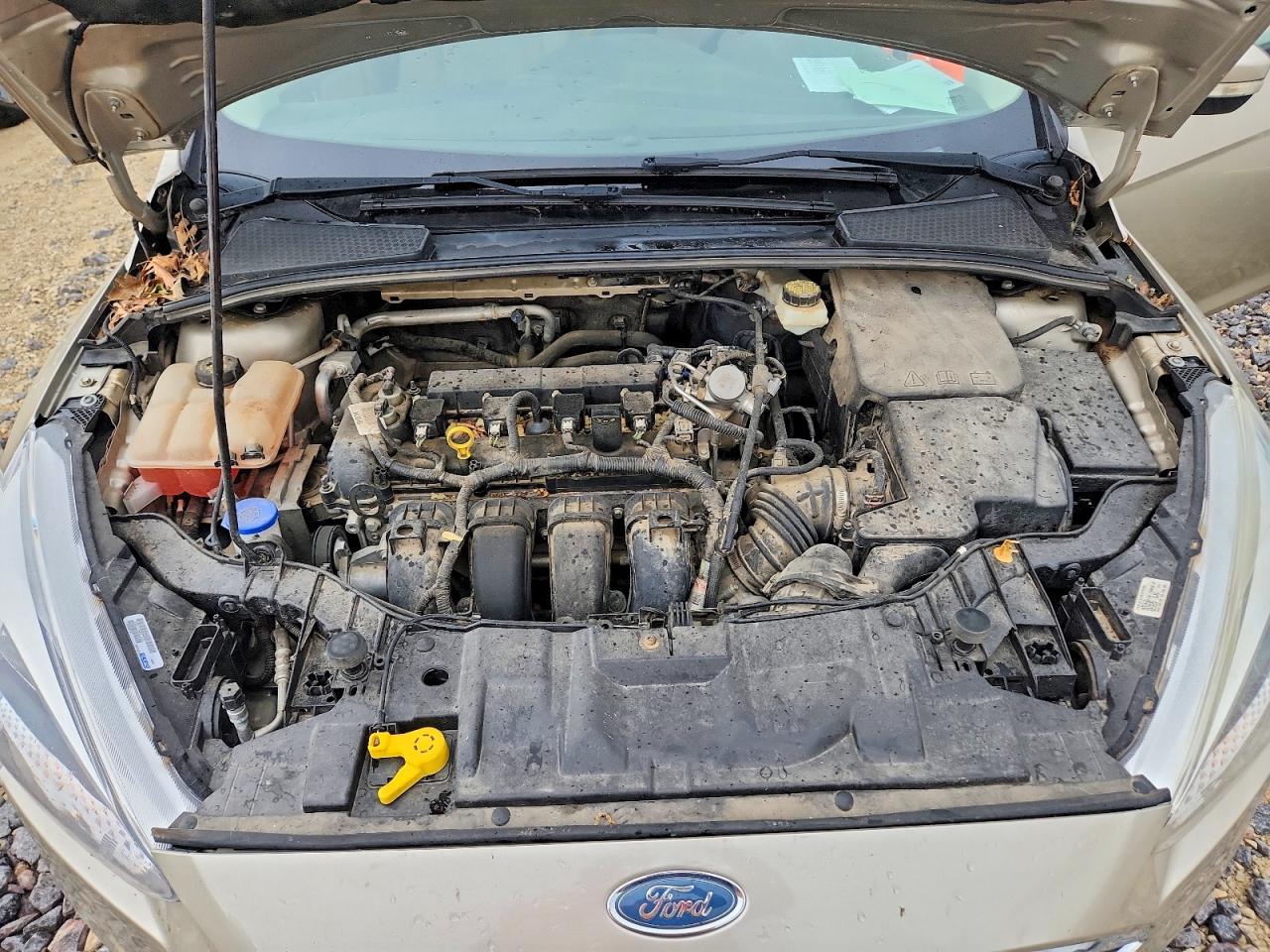Ford Focus Se