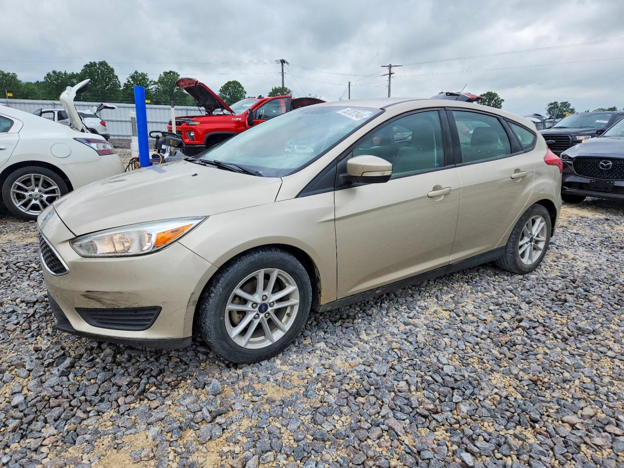 Salvage Ford Focus Image