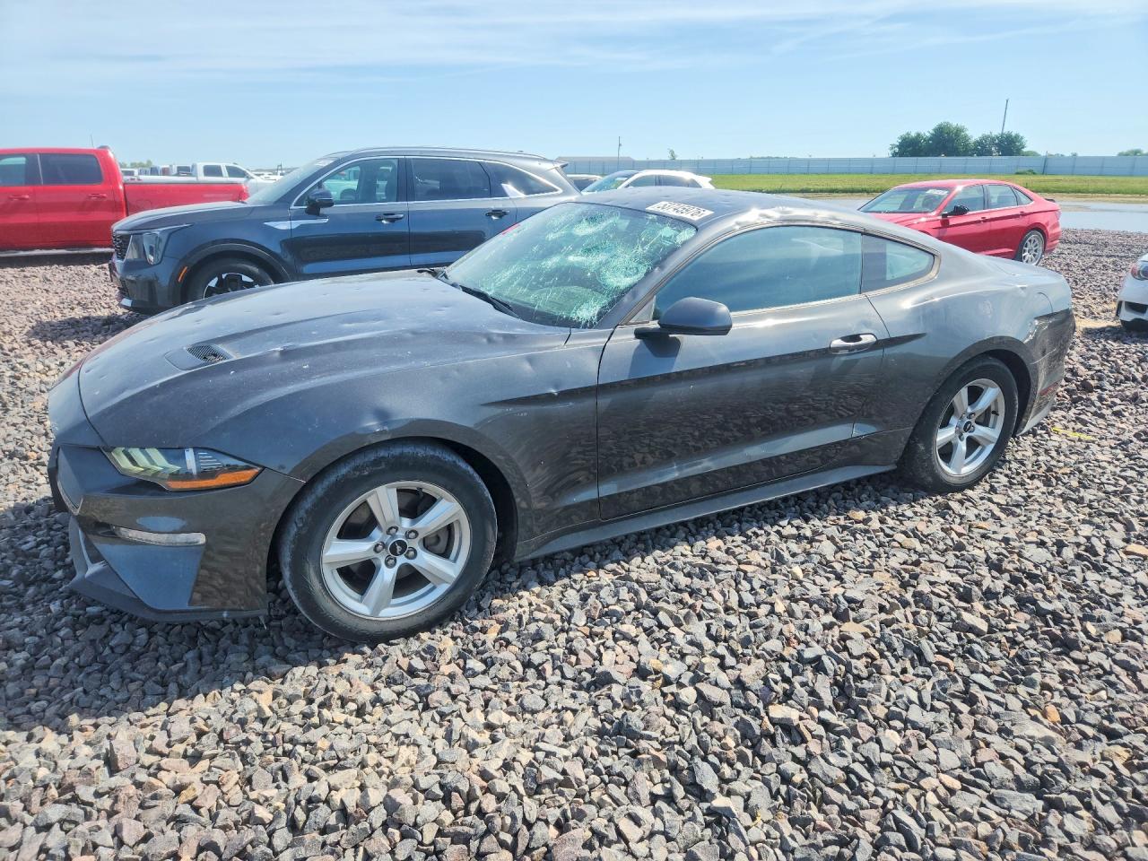Salvage Ford Mustang Image