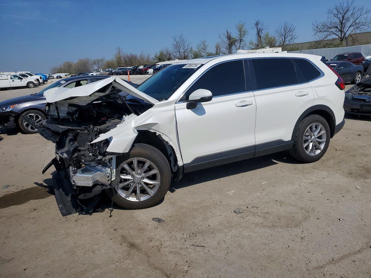 Salvage Honda Crv Image