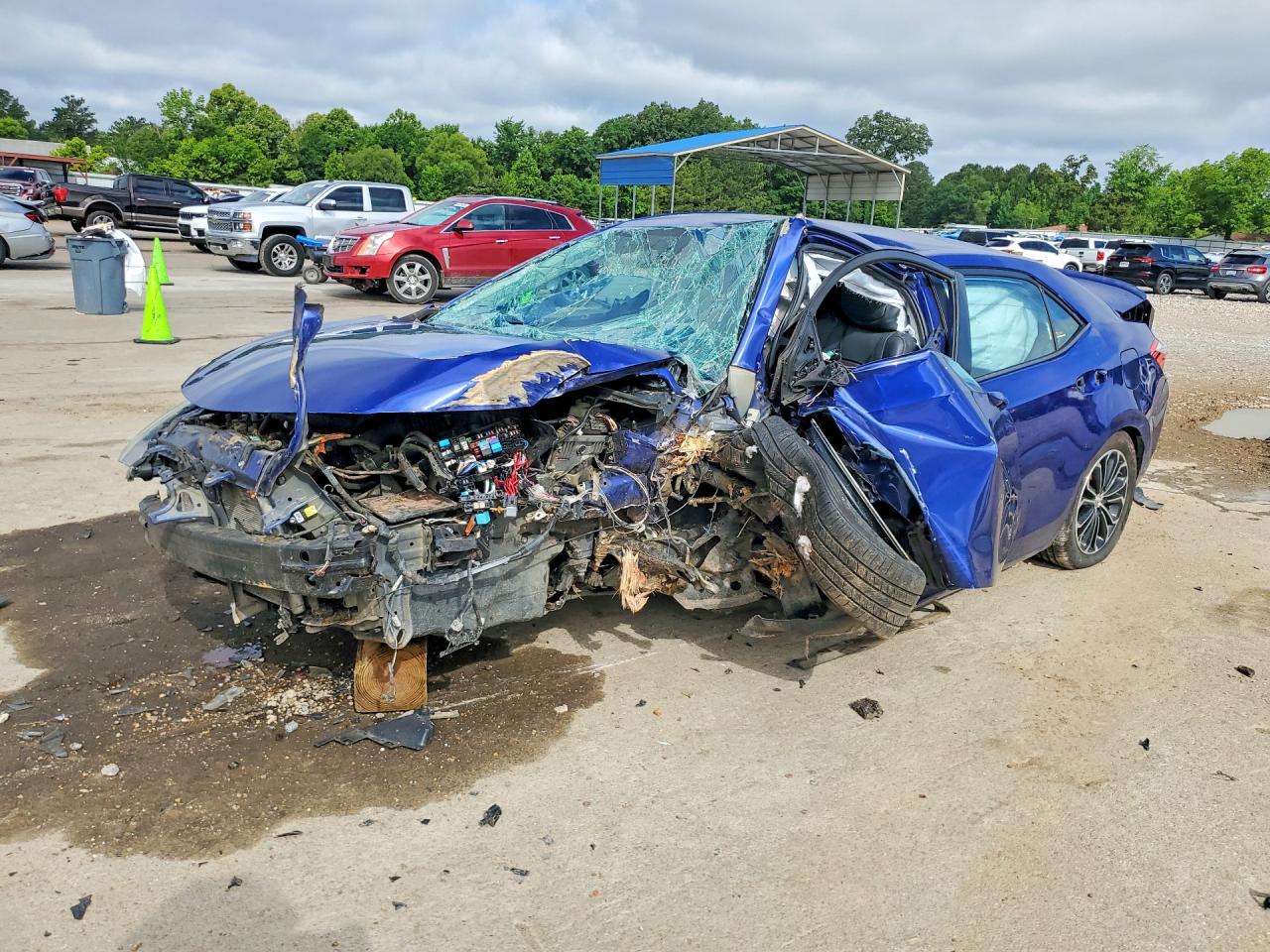 Salvage Toyota Corolla Image