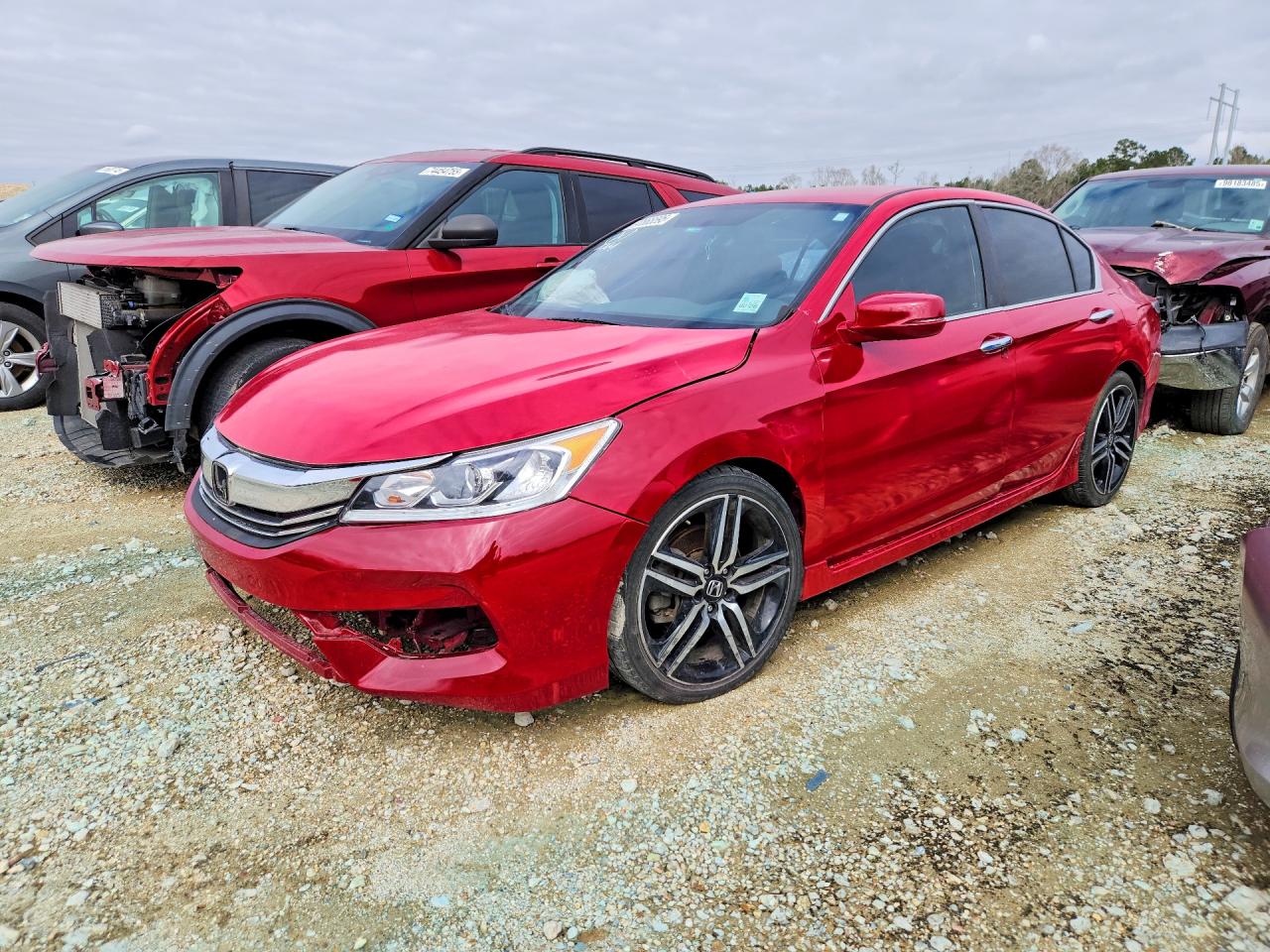 Salvage Honda Accord Image