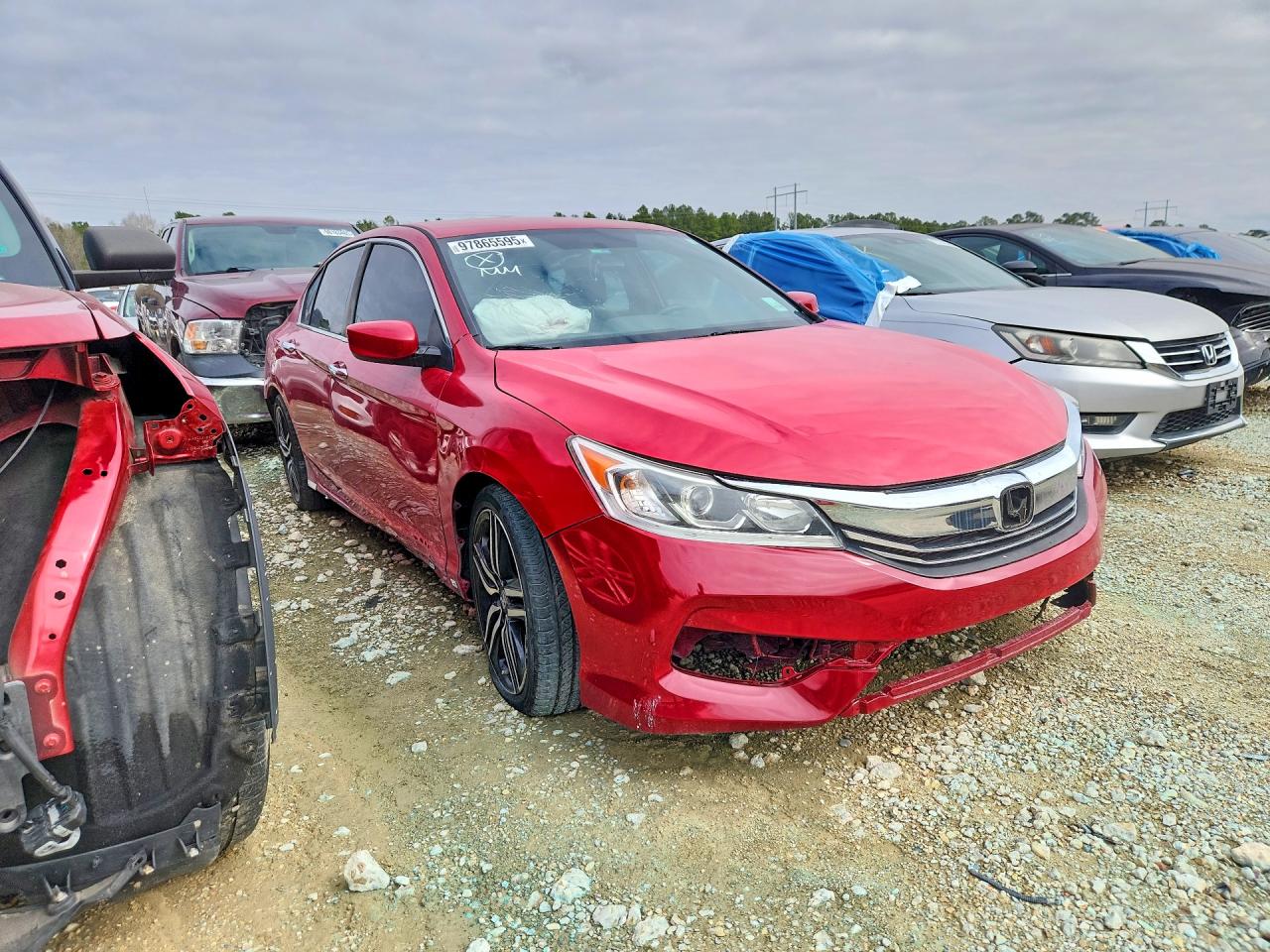 Honda Accord Sport