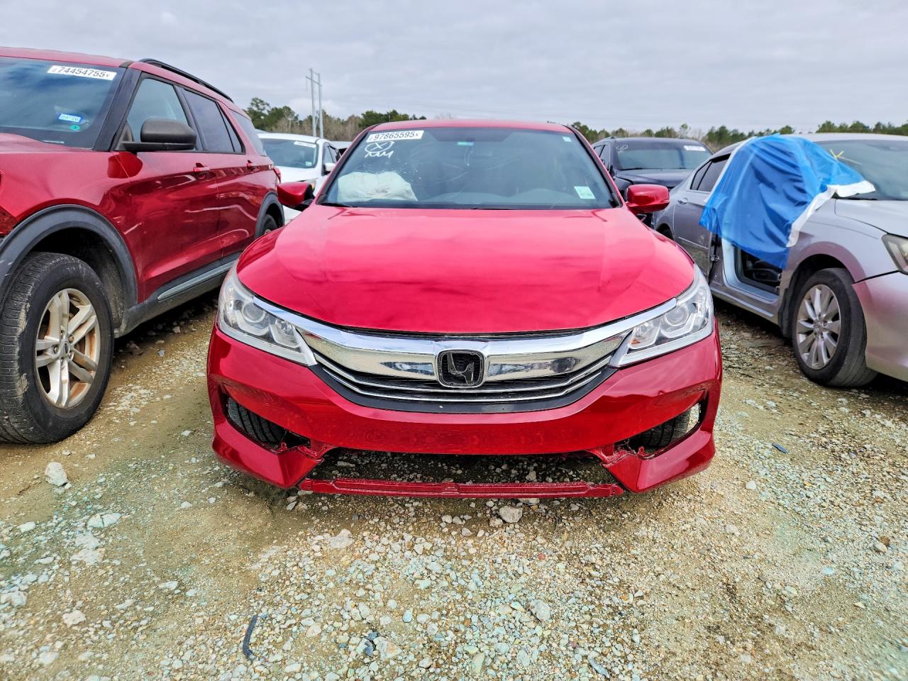 Honda Accord Sport