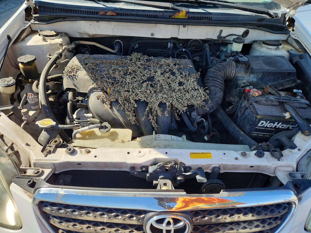 Toyota Corolla Ce
