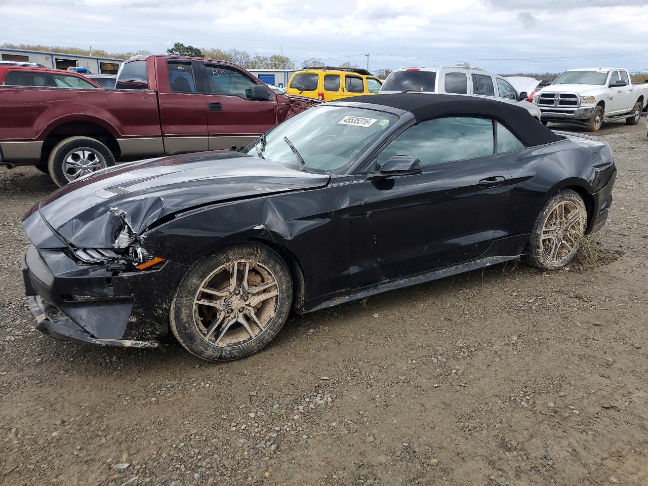 Salvage Ford Mustang Image