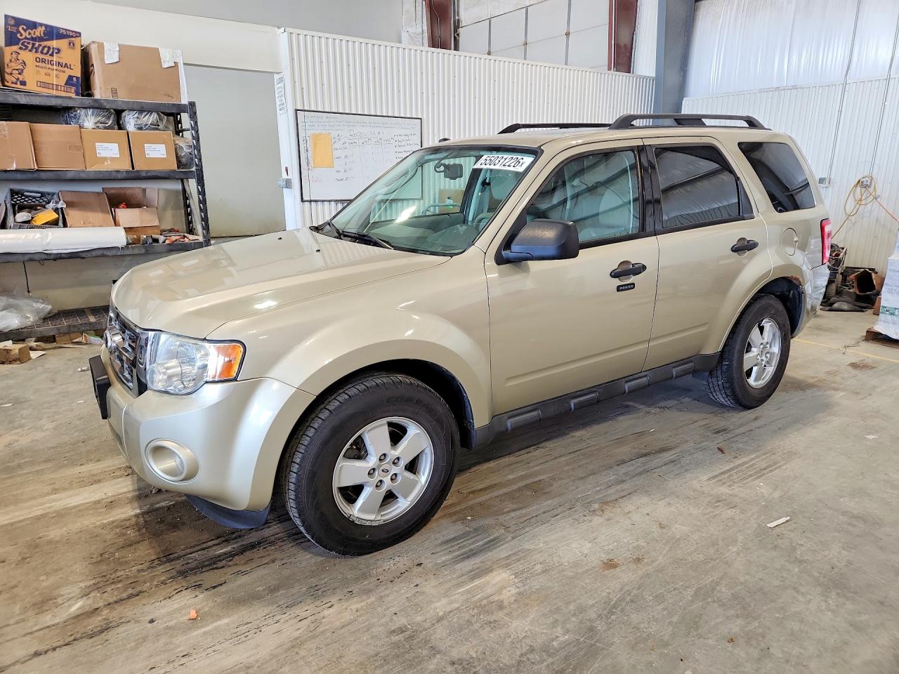 Salvage Ford Escape Image